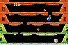 Classic NES Series - Ice Climber screenshot 1