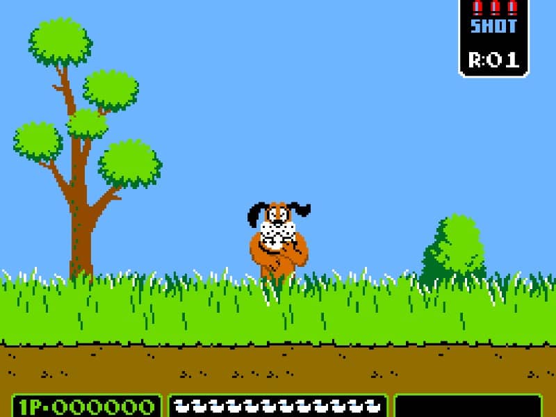 Vs. Duck Hunt